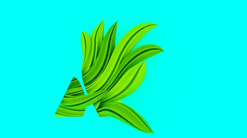 Kkanpunggi