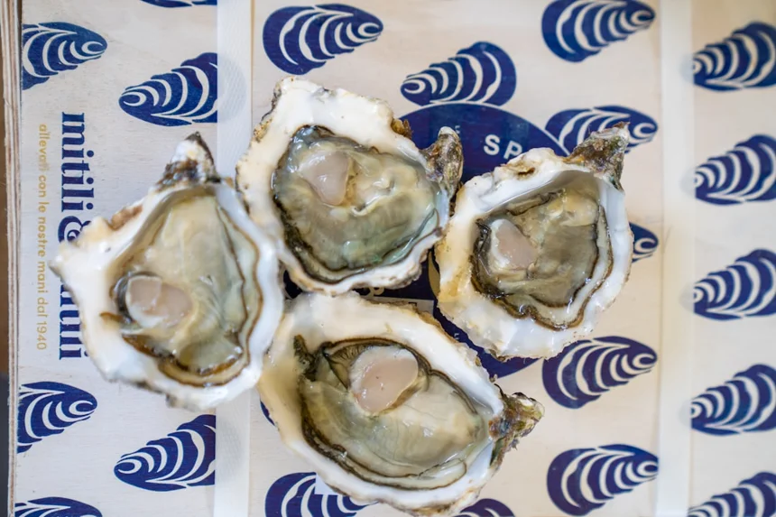 Oyster sauce