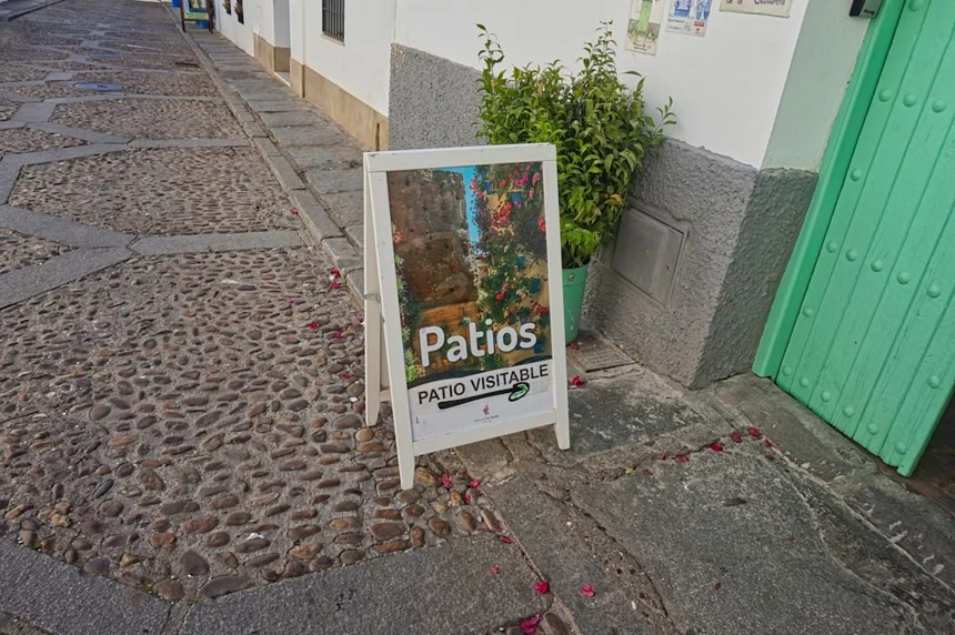 Palbochae