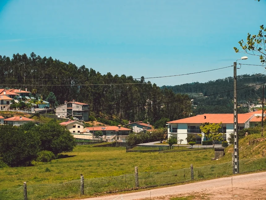 Palbochae