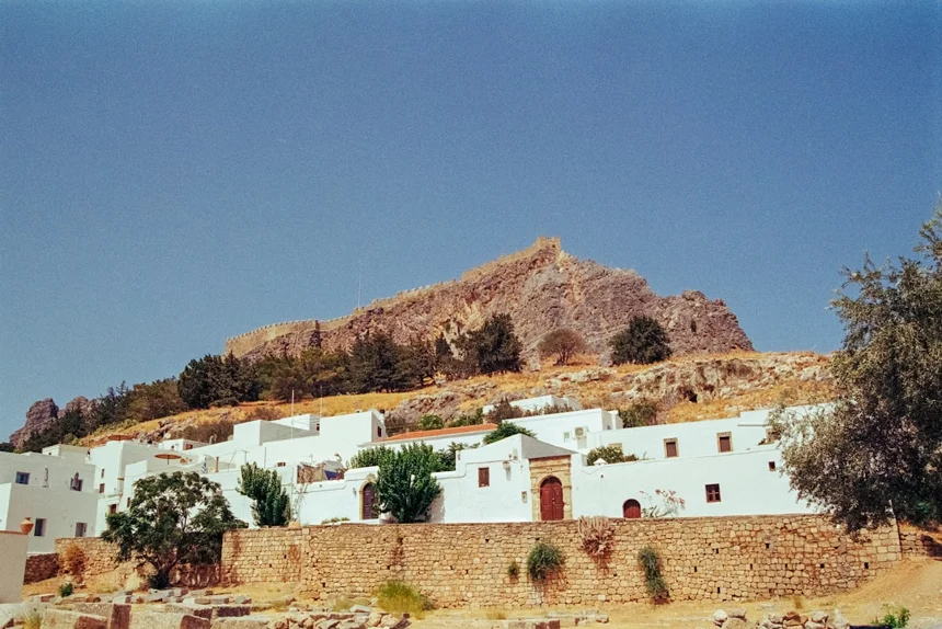 Palbochae
