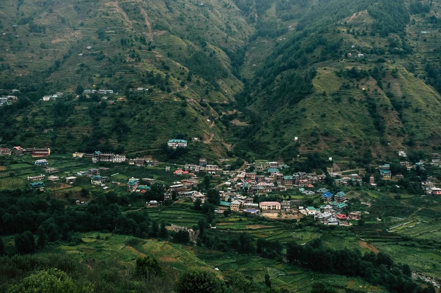 Palbochae
