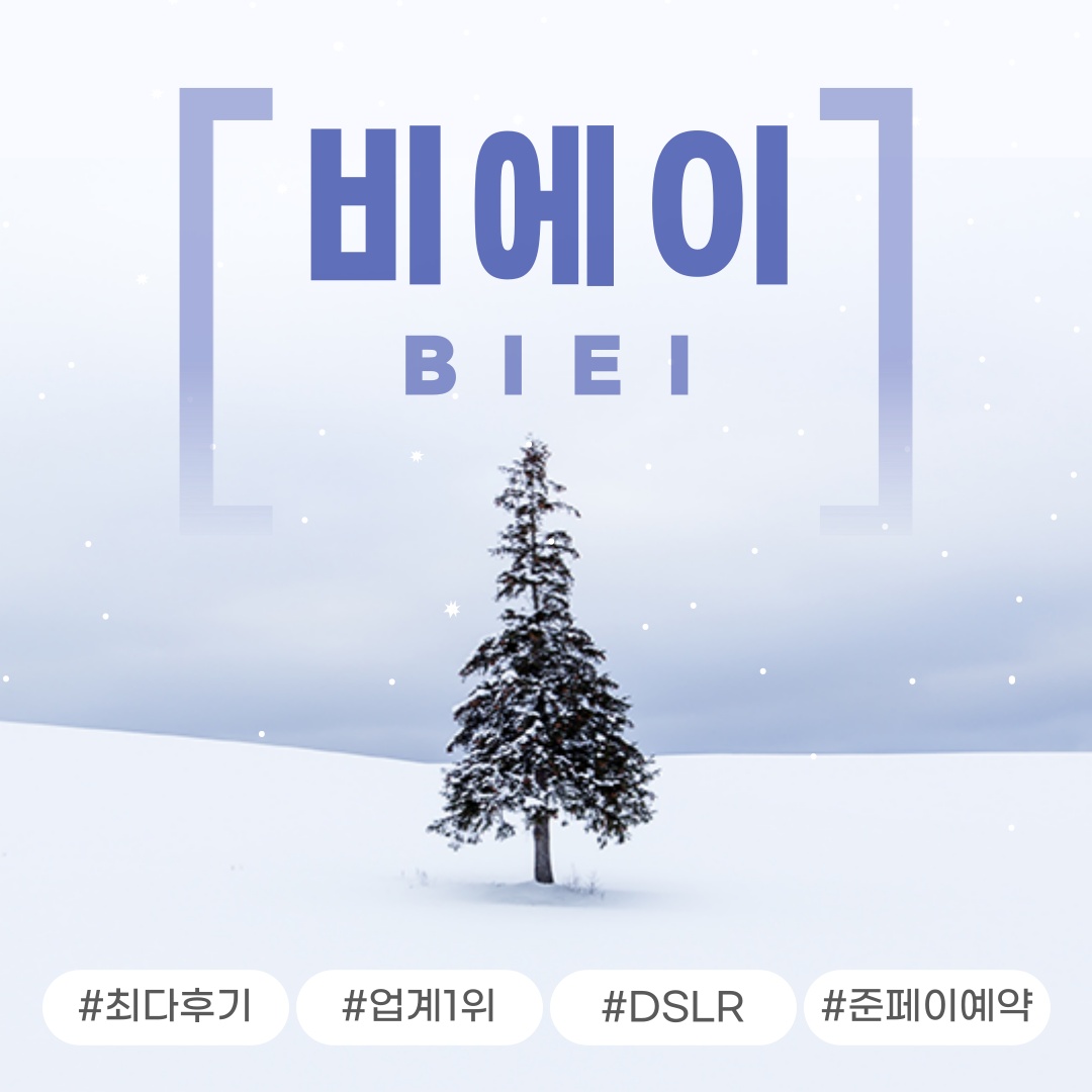 “삿포로 비에이 후라노 버스투어 DSLR 사진 촬영”으로 특별한 여행 경험하기